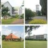Jesuit Education in Nigeria