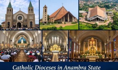 Major Catholic Dioceses in Anambra State || Nnewi City