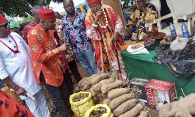 Nnefioha Festival: Unveiling Ikwo People's Rich Heritage || Nnewi City