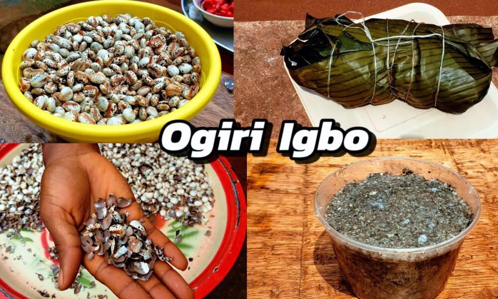 Ogiri: The Culinary Treasure in Igbo Cuisine || Nnewi City