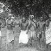 Igbo Land Inheritance: Why Patrilineality and Primogeniture Favour Sons in Igbo Culture || Nnewi City