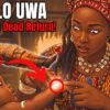 Ilo Uwa: The Facsinating Age-Old Belief of Igbo People in Reincarnation || Nnewi City