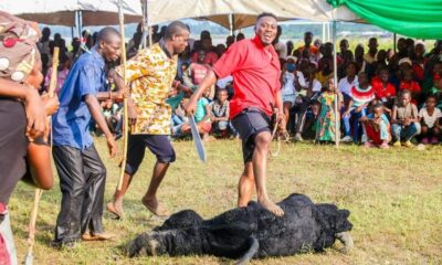 Odi Ogori Ba Uge Festival: A Unique Celebration of Victory and Cultural Heritage ... || Nnewi City