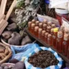Traditional Medicine in Igbo Society: History, Healing Practices, and Enduring Cultural Significance || Nnewi City