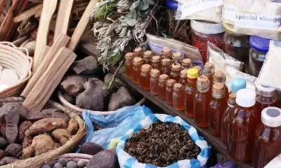 Traditional Medicine in Igbo Society: History, Healing Practices, and Enduring Cultural Significance || Nnewi City