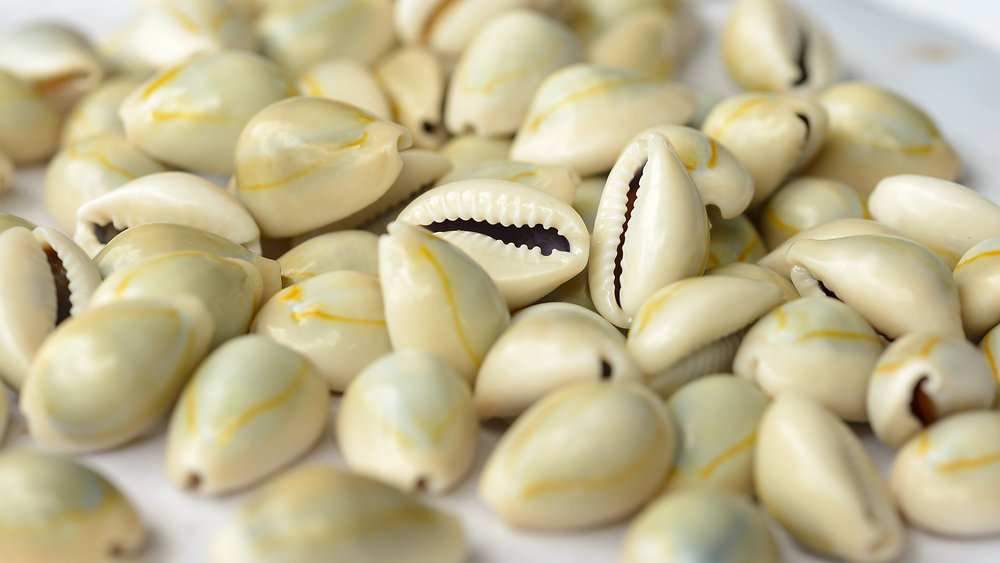 The Remarkable Symbolism of Cowry Shells in Igbo Traditions || Nnewi City