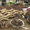 Igbo Staple Foods: The Cultural and Historical Roots of Top Traditional Igbo Diet || Nnewi City
