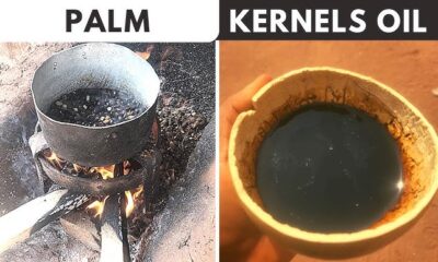 Ude Aki (Palm Kernel Oil) in Igbo Culture: Traditional Uses, Healing, and Cultural Significance || Nnewi City