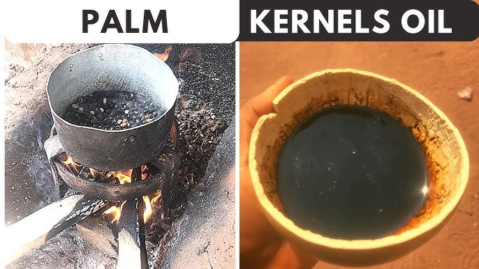 Ude Aki (Palm Kernel Oil) in Igbo Culture: Traditional Uses, Healing, and Cultural Significance || Nnewi City