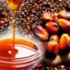 Palm Oil (Mmanu Igbo) in Igbo Society: Cultural Significance and Economic Importance || Nnewi City